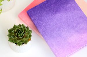 Carnet Ombré pour rentrée chic !